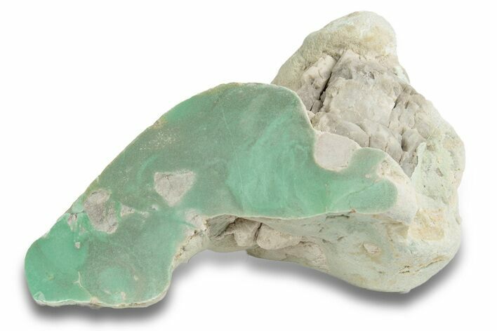 Polished Pastel Green Variscite Section - Amatrice Hill, Utah #248361